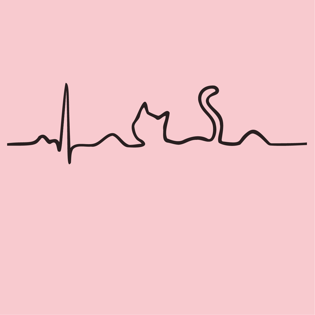 Camiseta CardioGatoGrama