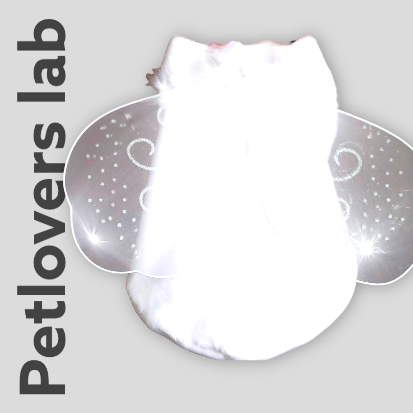 Disfráz Mariposa para Perros y Gatos