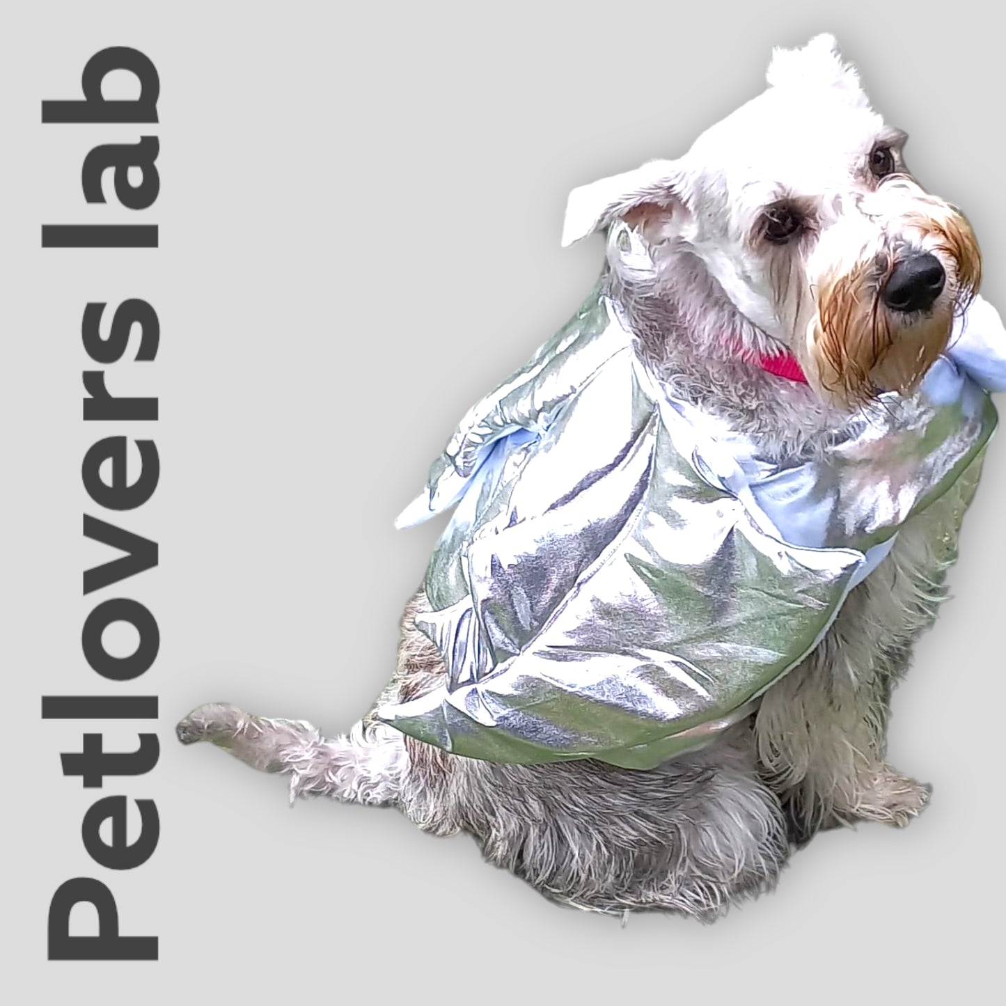 Disfráz Alas de Dragón para Perros y Gatos