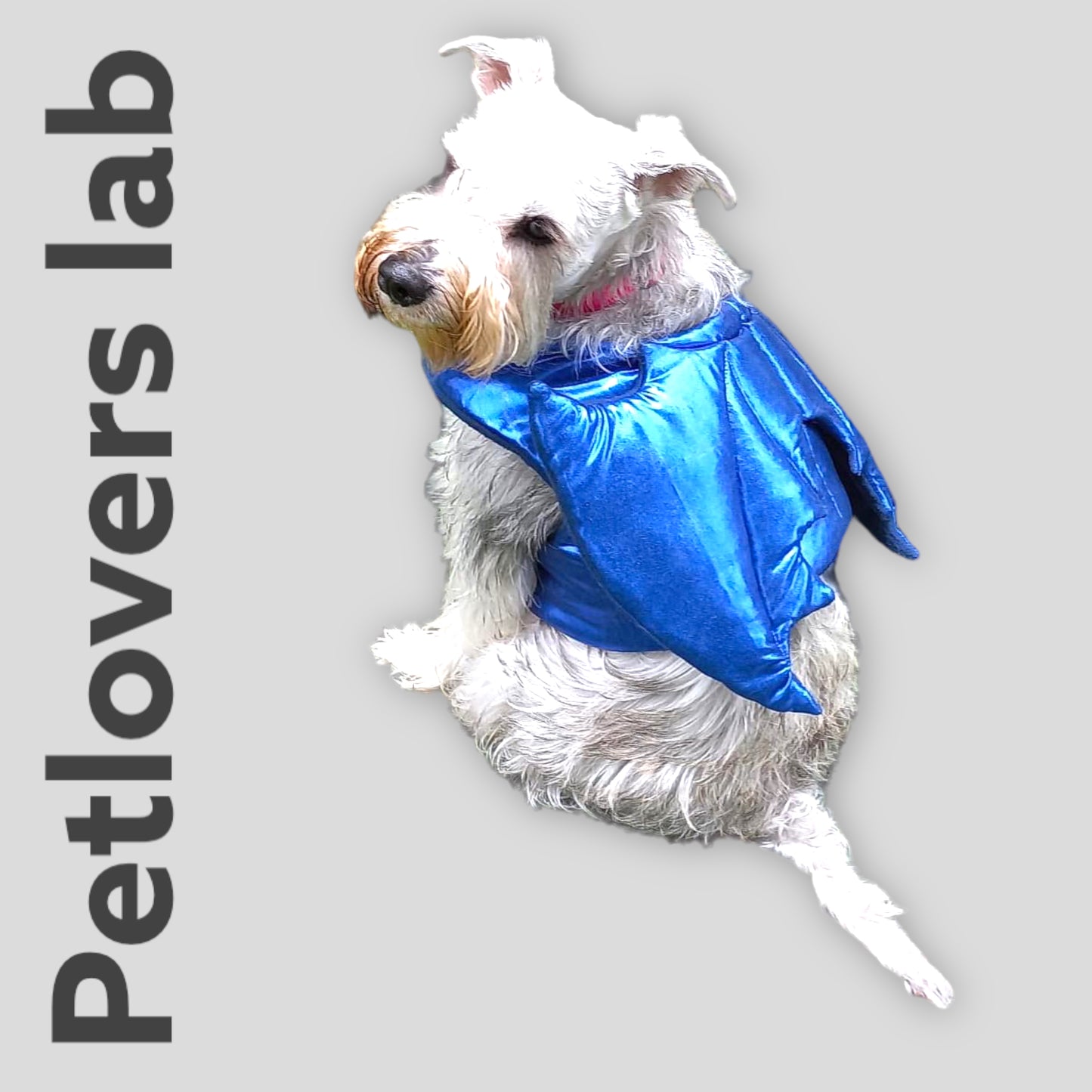 Disfráz Alas de Dragón para Perros y Gatos